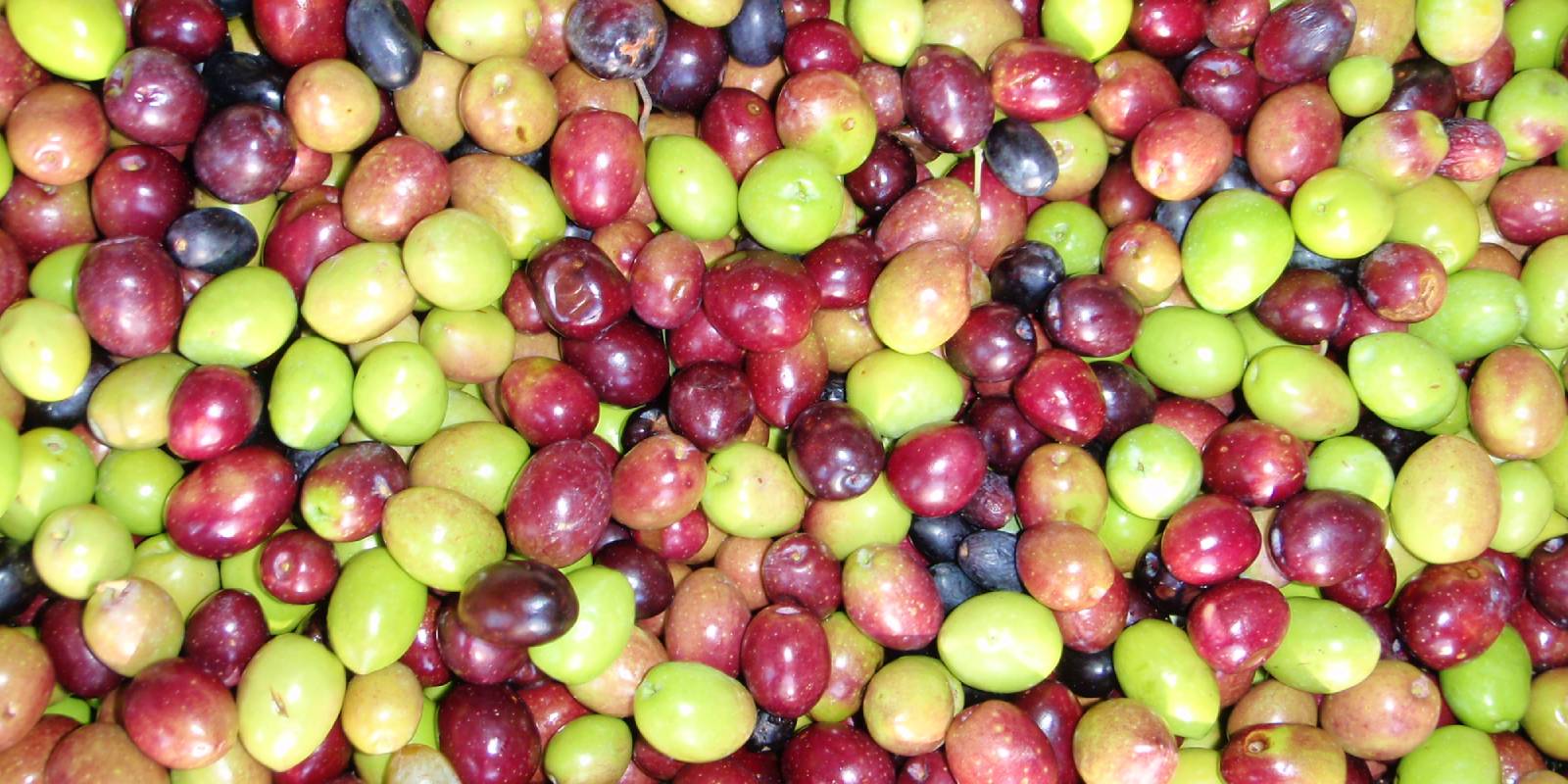 olives